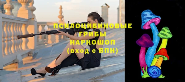 молекула духа Красноперекопск