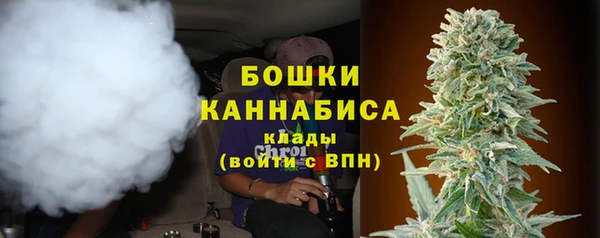гашик Краснослободск