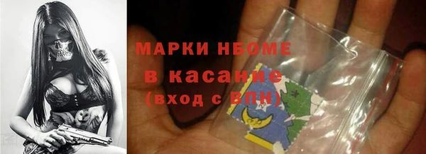 гашик Краснослободск