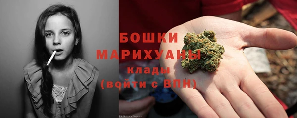 гашик Краснослободск