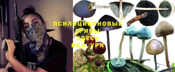 гашик Краснослободск