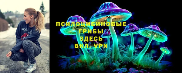 молекула духа Красноперекопск