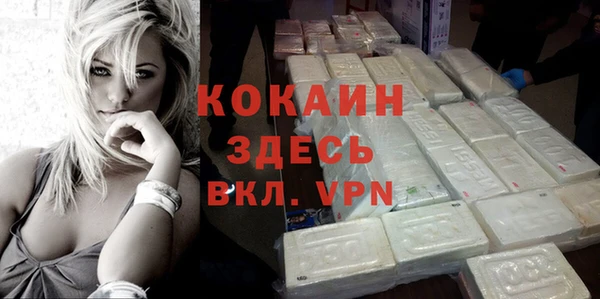 гашик Краснослободск
