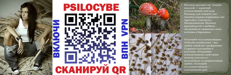 Купить  Старый Крым  Псилоцибиновые грибы Magic Shrooms 